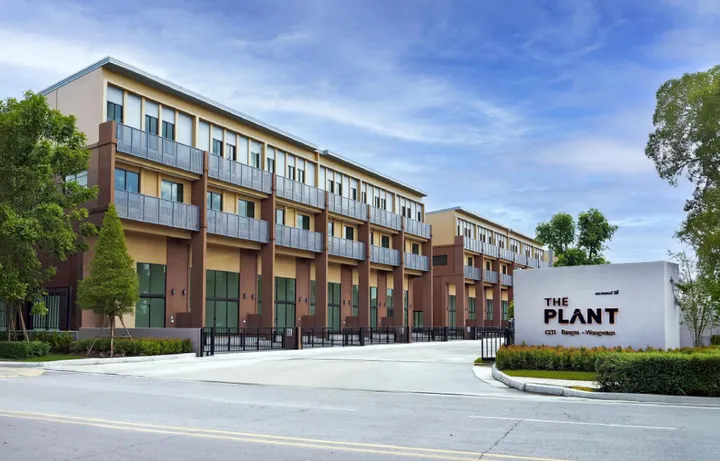 The Plant Citi บางนา-วงแหวน (The Loft 260)