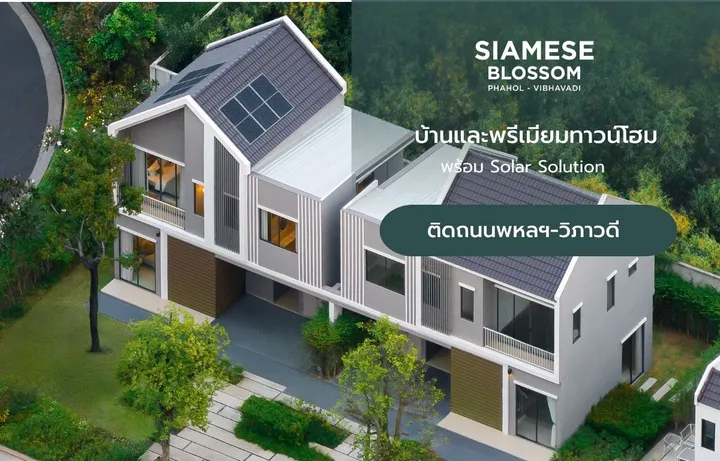 SIAMESE BLOSSOM Phahol-Vibhavadi
